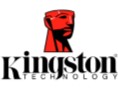Marca Kingston Mini Logo